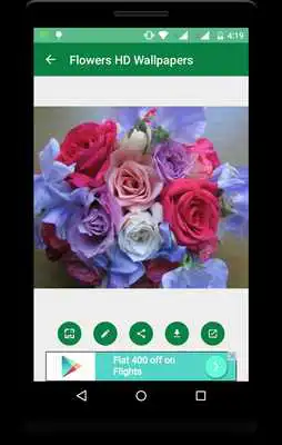 Play Flowers HD Wallpapers