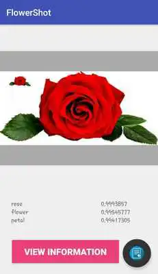 Play Flower Shot