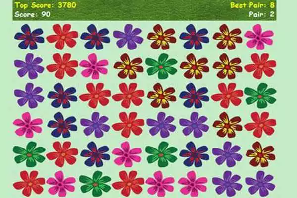 Play Flower Show