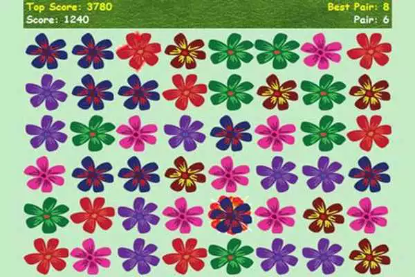 Play Flower Show