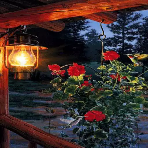 Free play online Flowers In Night LWP APK Free play online Flowers In Night LWP APK