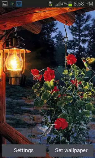 Play Flowers In Night LWP
