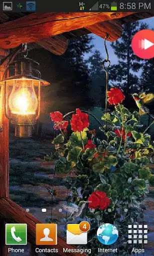 Play Flowers In Night LWP