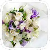 Free play online Flowers in Spring APK