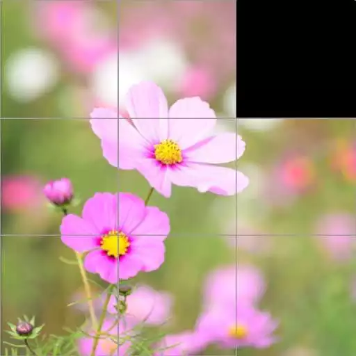 Play Flower Slide Puzzle APK
