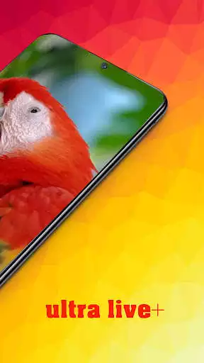 Play Flowers Live Wallpaper HD