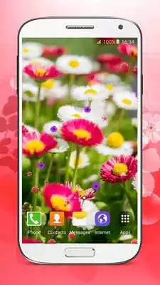 Play Flowers Live Wallpaper HD