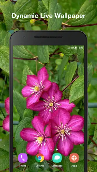 Play Flowers Live Wallpaper Pro  and enjoy Flowers Live Wallpaper Pro with UptoPlay