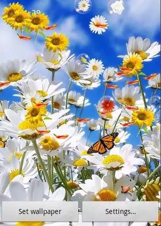 Play Flowers Live Wallpaper