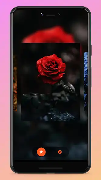 Play Flowerso  and enjoy Flowerso with UptoPlay