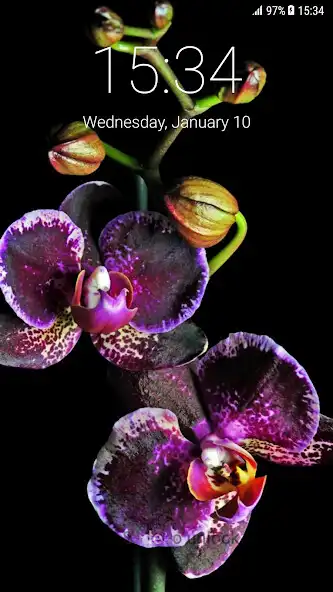 Play Flowers Pattern Lock Screen and enjoy Flowers Pattern Lock Screen with UptoPlay Play Flowers Pattern Lock Screen and enjoy Flowers Pattern Lock Screen with UptoPlay