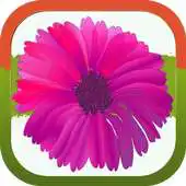 Free play online Flowers Photo APK