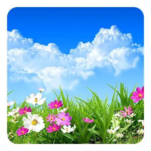Run free android online Flower Spring Live Wallpaper APK