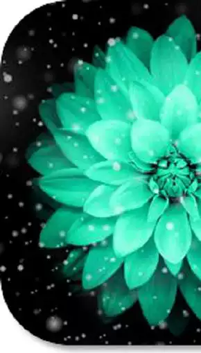 Free play online Flower Sprinkle HD Wallpapers  APK