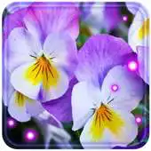 Free play online Flowers Spring LWP APK Free play online Flowers Spring LWP APK