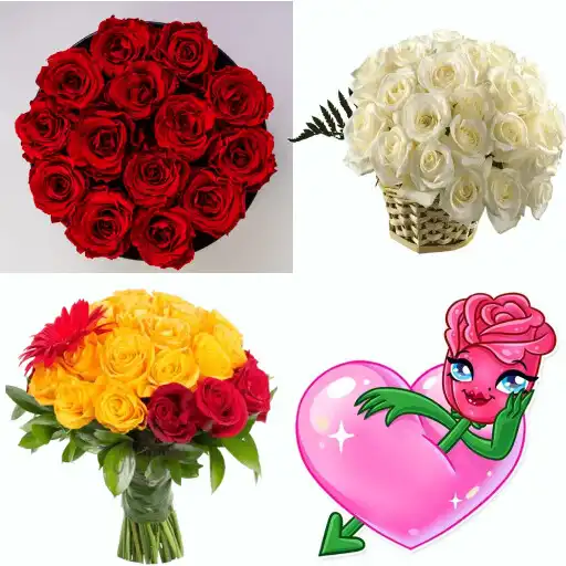 Play Flowers Stickers for WA APK