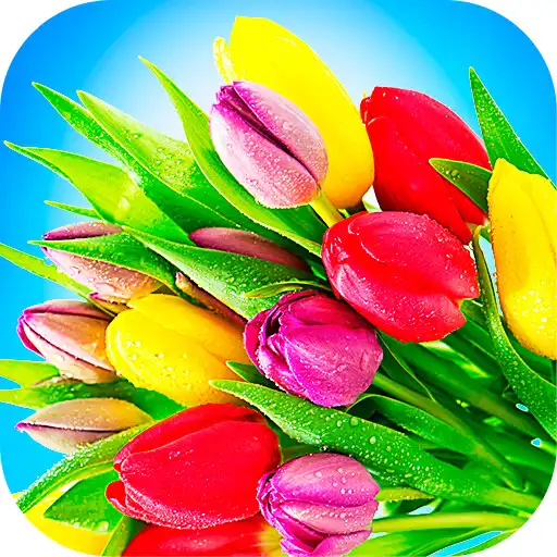 Play Flowers Stickers for WhatsApp APK Play Flowers Stickers for WhatsApp APK