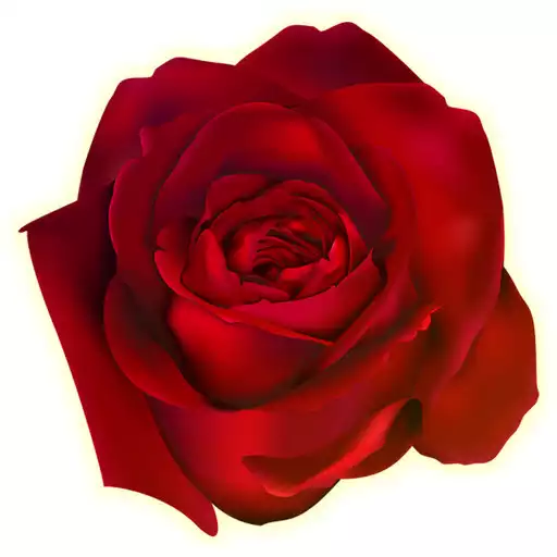 Play Flower Stickers For Whatsapp WAStickerApps APK Play Flower Stickers For Whatsapp WAStickerApps APK