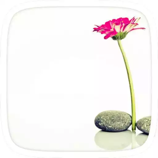 Free play online Flower Stone Theme  APK