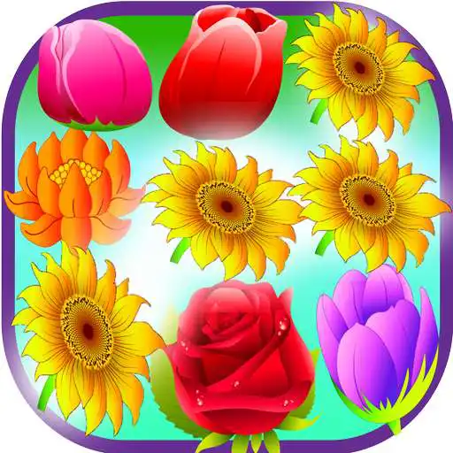 Play Flower Storm APK Play Flower Storm APK