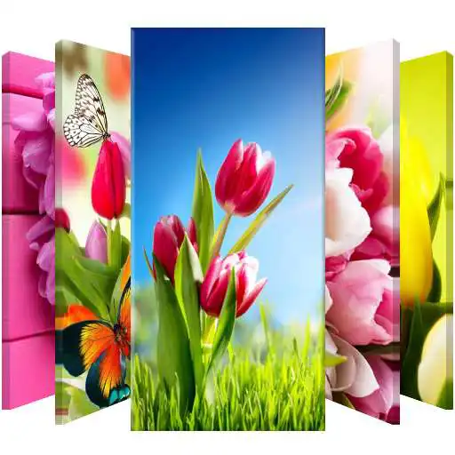 Run free android online Flowers Tulips Lock Screen APK Run free android online Flowers Tulips Lock Screen APK