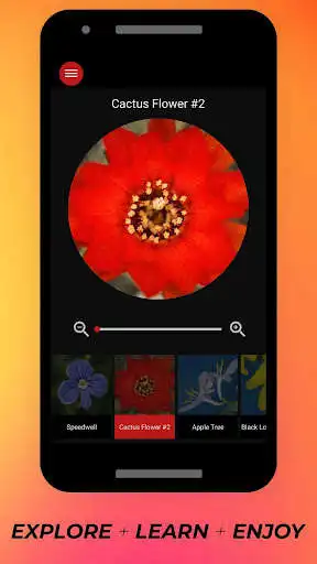 Play Flowers Under Microscope - small world of Flowers  and enjoy Flowers Under Microscope - small world of Flowers with UptoPlay