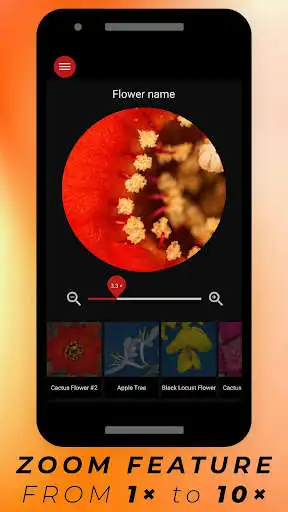 Play Flowers Under Microscope - small world of Flowers as an online game Flowers Under Microscope - small world of Flowers with UptoPlay
