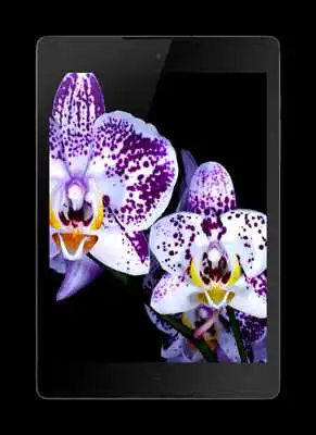 Play Flowers Video Wallpaper