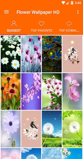 Play Flowers Wallpaper 4K  and enjoy Flowers Wallpaper 4K with UptoPlay