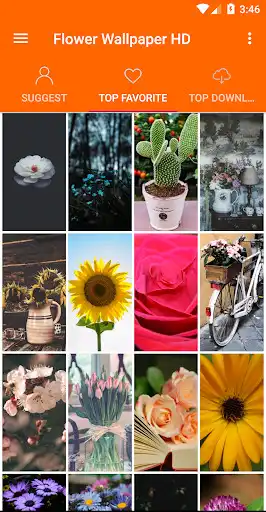 Play Flowers Wallpaper 4K as an online game Flowers Wallpaper 4K with UptoPlay