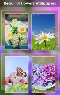 Play Flowers Wallpaper 4k