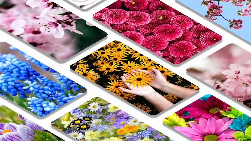 Play Flowers wallpaper background as an online game Flowers wallpaper background with UptoPlay