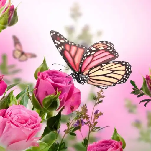 Play Flowers Wallpaper - Beautiful APK