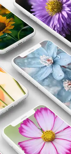 Play Flowers Wallpaper - Beautiful as an online game Flowers Wallpaper - Beautiful with UptoPlay