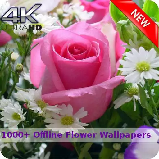Play Flowers Wallpapers HD Offline APK Play Flowers Wallpapers HD Offline APK
