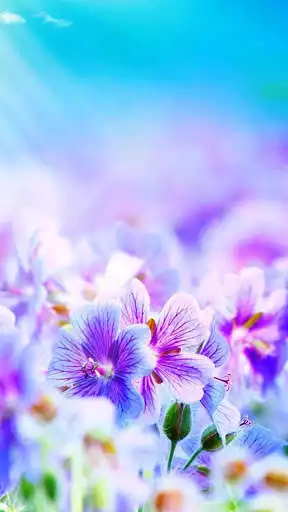 Play Flowers Wallpapers HD Offline as an online game Flowers Wallpapers HD Offline with UptoPlay