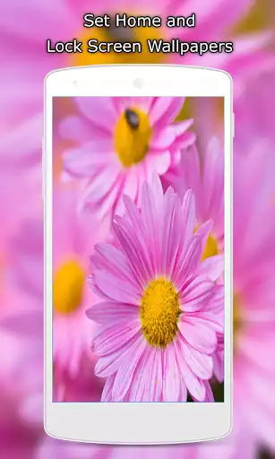 Play Flowers Wallpapers HD as an online game Flowers Wallpapers HD with UptoPlay