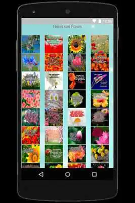 Play Flowers With Phrases Free