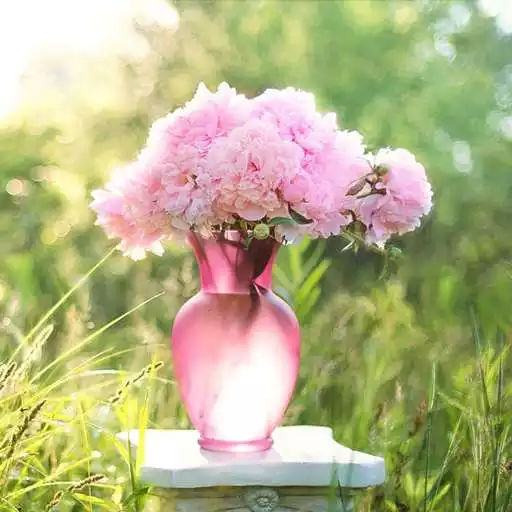 Play flower vase wallpaper APK Play flower vase wallpaper APK