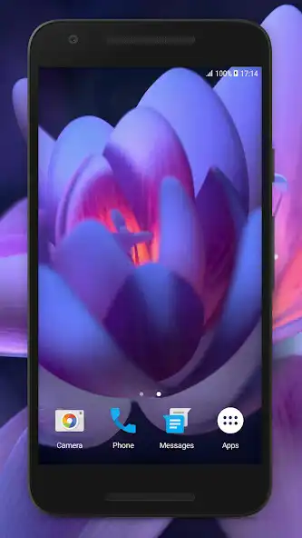 Play Flower Video Wallpaper  and enjoy Flower Video Wallpaper with UptoPlay