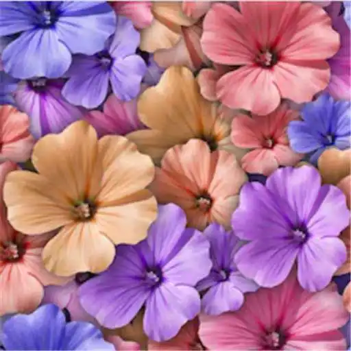 Play Flower Vintage Wallpaper APK