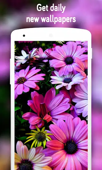 Play Flower Wallpaper 4K as an online game Flower Wallpaper 4K with UptoPlay