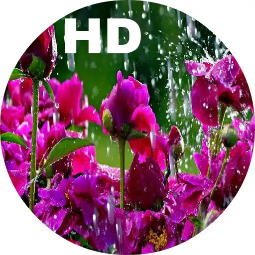 Play Flower wallpaper HD - 4K APK Play Flower wallpaper HD - 4K APK