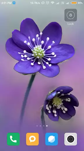 Play Flower Wallpaper HD as an online game Flower Wallpaper HD with UptoPlay