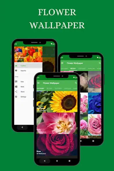 Play Flower Wallpaper - Images  and enjoy Flower Wallpaper - Images with UptoPlay