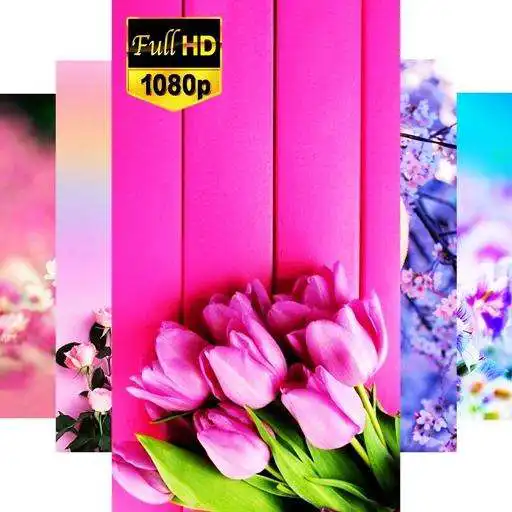 Play Flower Wallpaper - Rose Wallpaper APK Play Flower Wallpaper - Rose Wallpaper APK