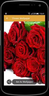 Play Flower wallpaper
