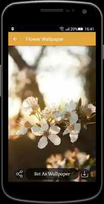 Play Flower wallpaper
