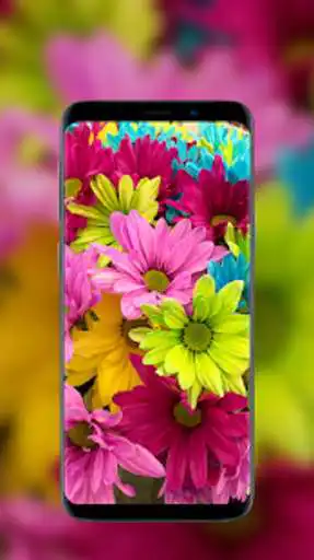 Play Flower Wallpapers - HD 4K and enjoy Flower Wallpapers - HD 4K with UptoPlay Play Flower Wallpapers - HD 4K and enjoy Flower Wallpapers - HD 4K with UptoPlay