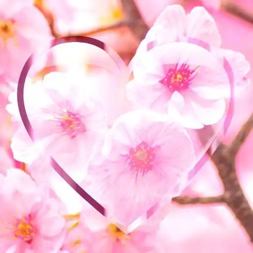 Play Flower Wallpapers HD Floral APK